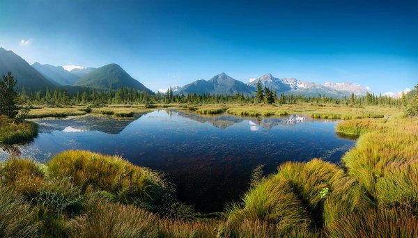 Choisissez des hôtels accessibles pour un séjour confortable et inclusif